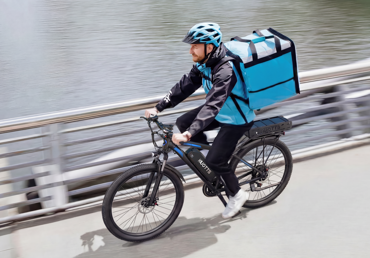 Rower elektryczny PTD Partner